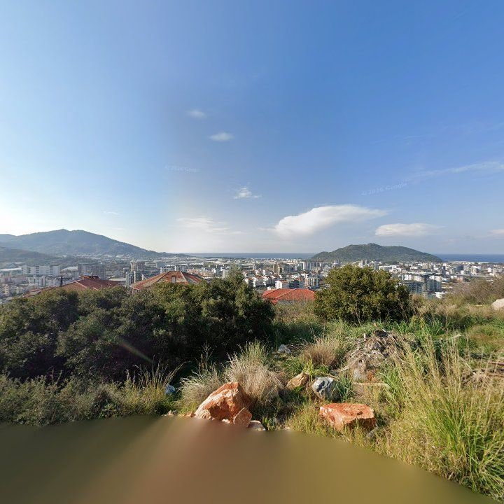 Fotoğraf 8