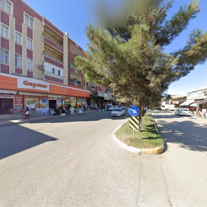 Fotoğraf 9