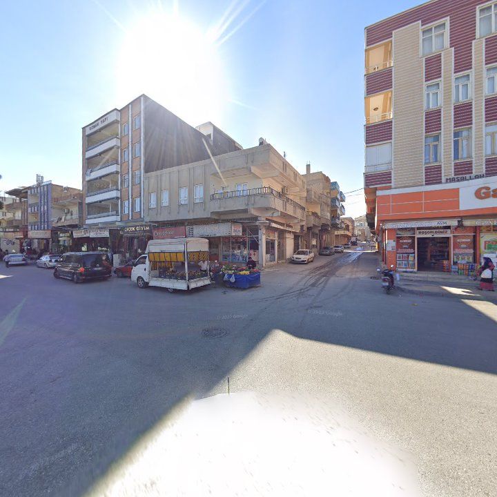 Fotoğraf 8