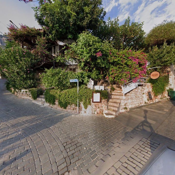 Fotoğraf 10