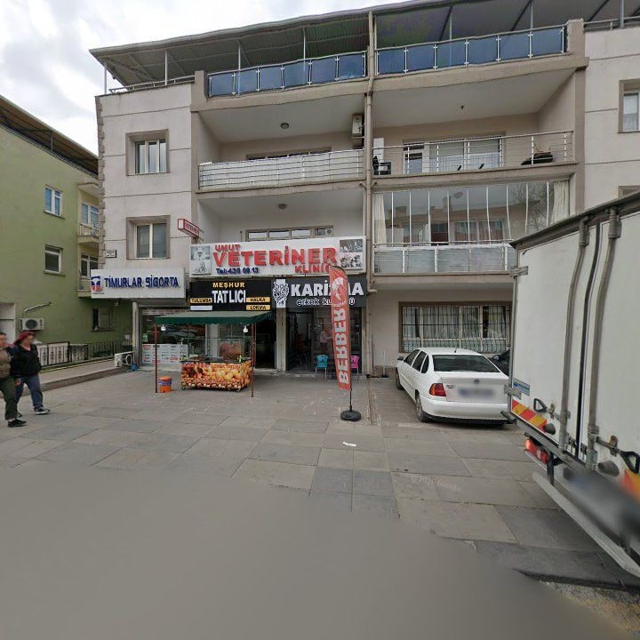 Çelik Et Mangal Kokoreç