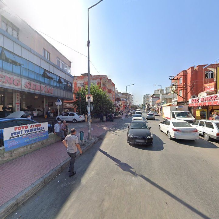 Fotoğraf 7
