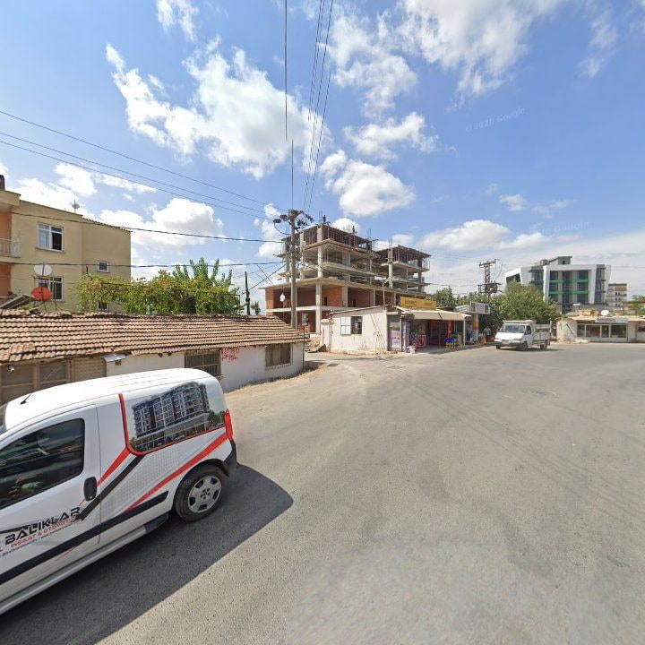 Fotoğraf 8