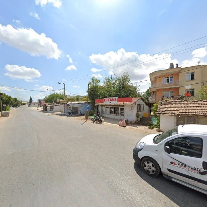 Fotoğraf 7