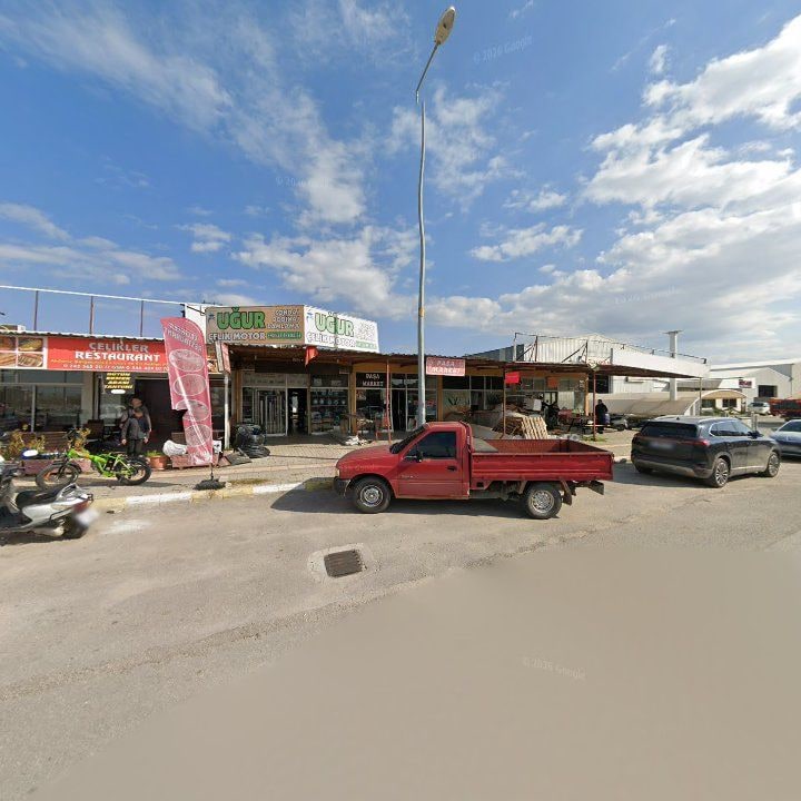 Fotoğraf 6