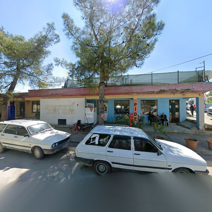 Fotoğraf 5