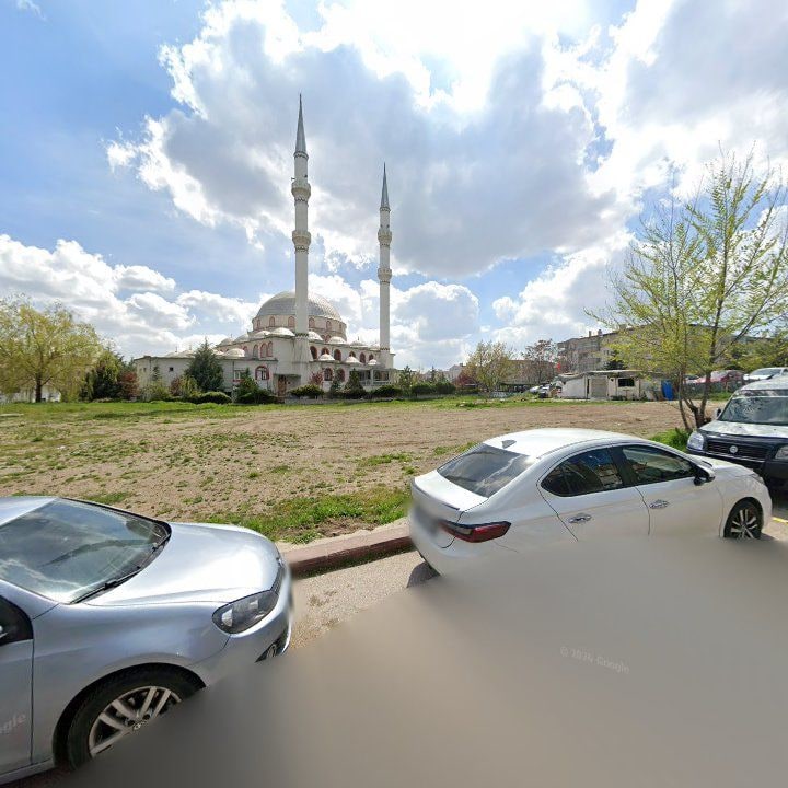 Fotoğraf 8