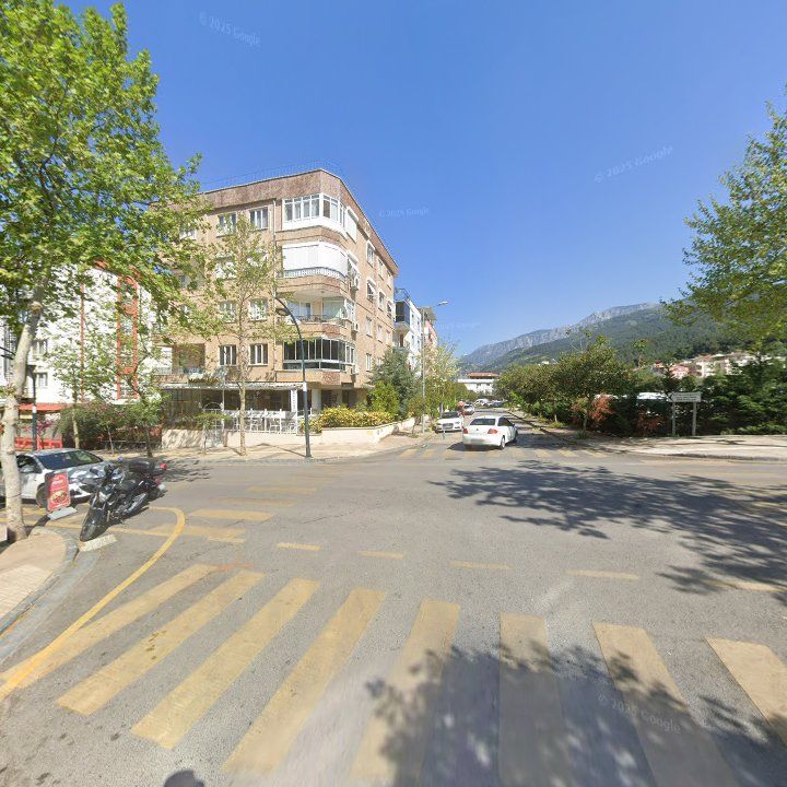 Fotoğraf 10
