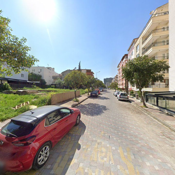 Fotoğraf 12