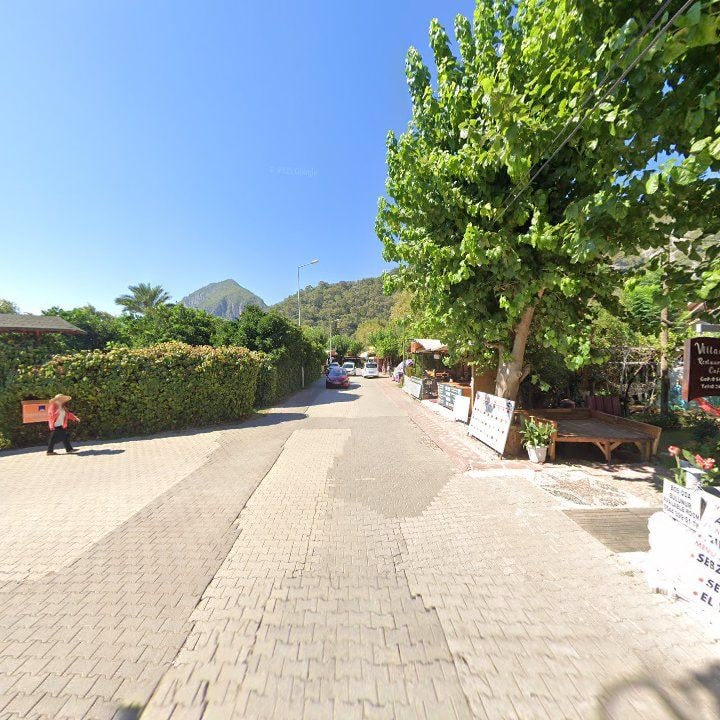 Fotoğraf 13
