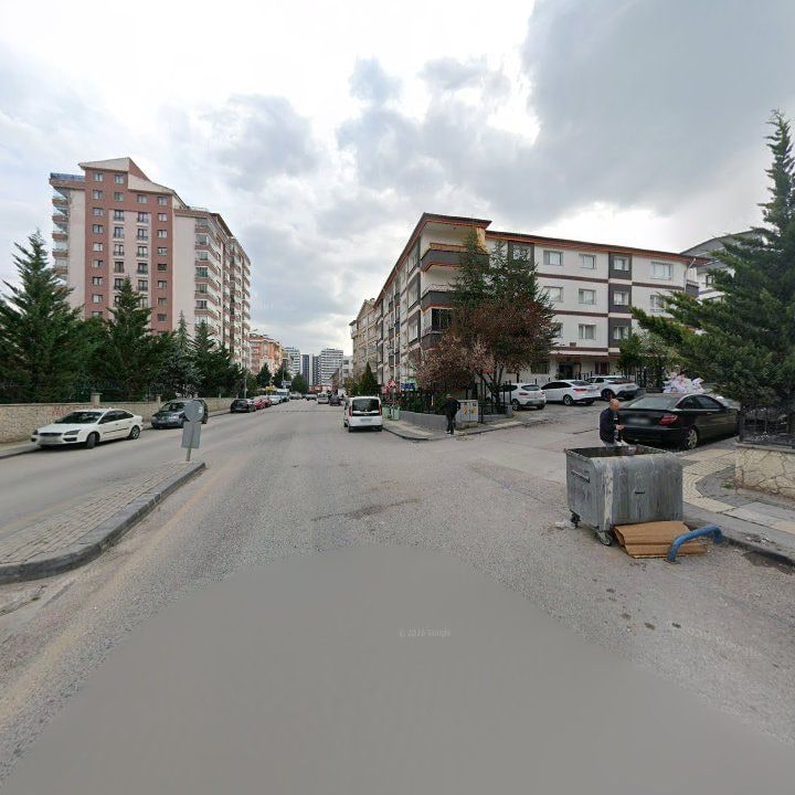Fotoğraf 9