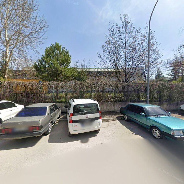 Fotoğraf 10