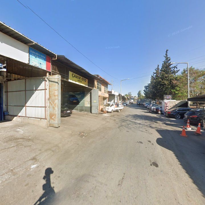 Fotoğraf 9