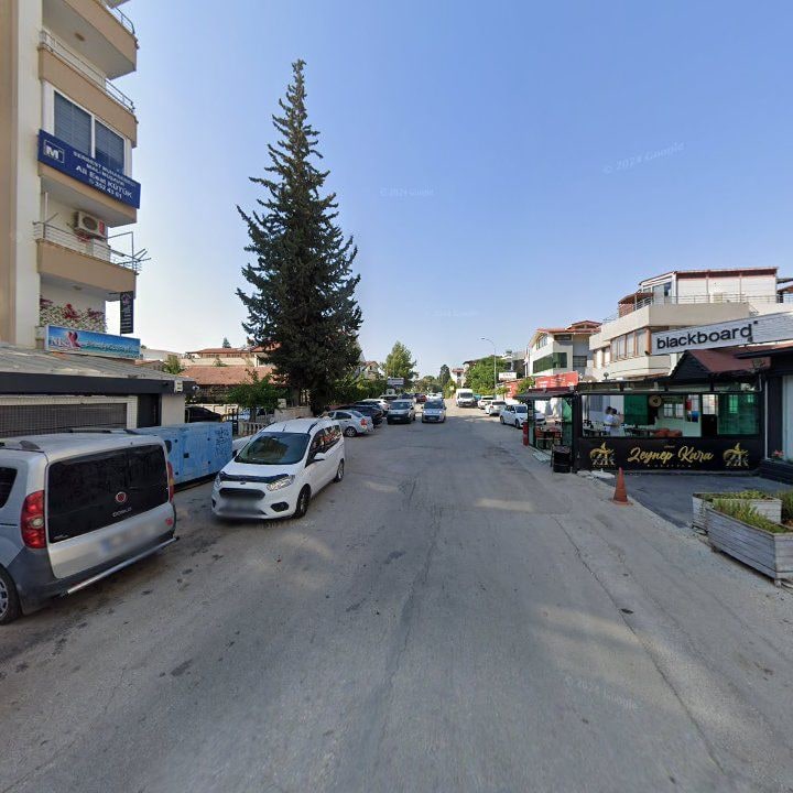 Fotoğraf 10