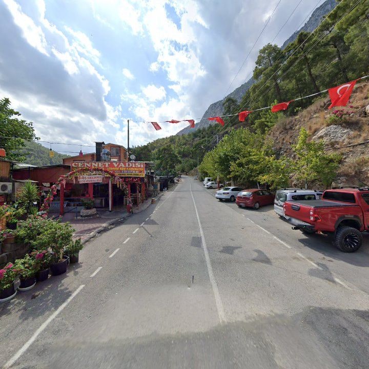 Fotoğraf 9
