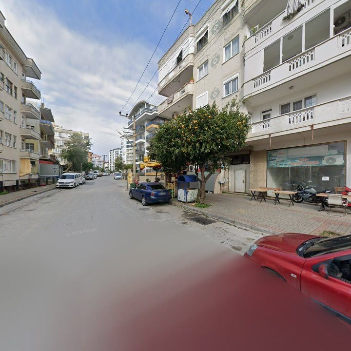 Fotoğraf 9
