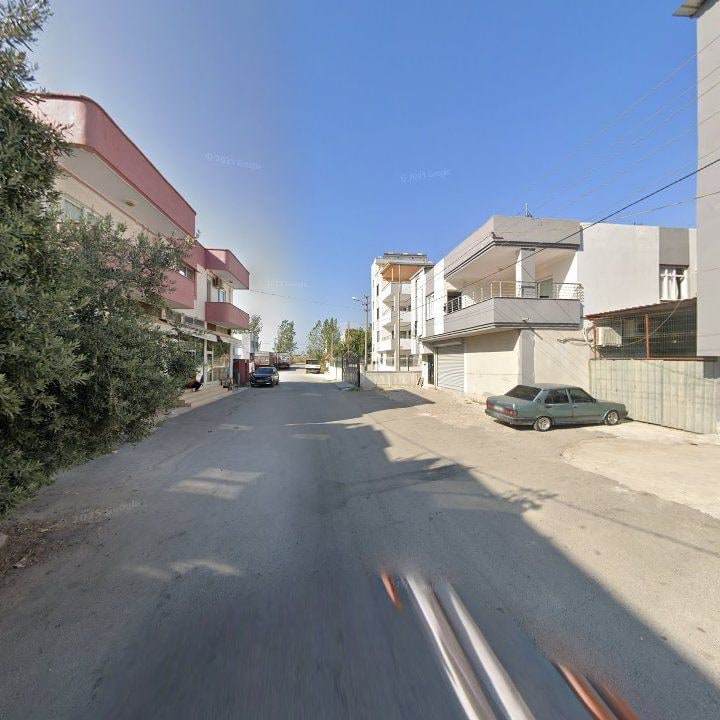 Fotoğraf 6