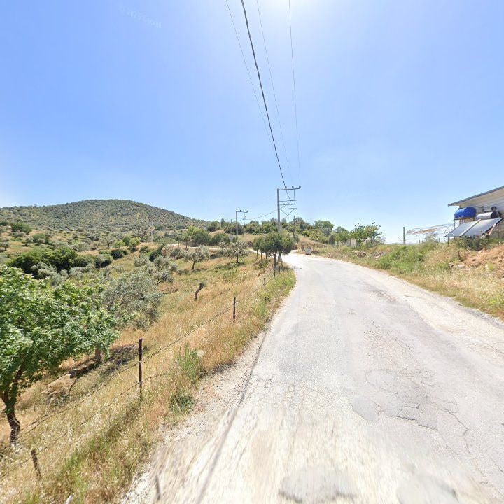 Fotoğraf 11