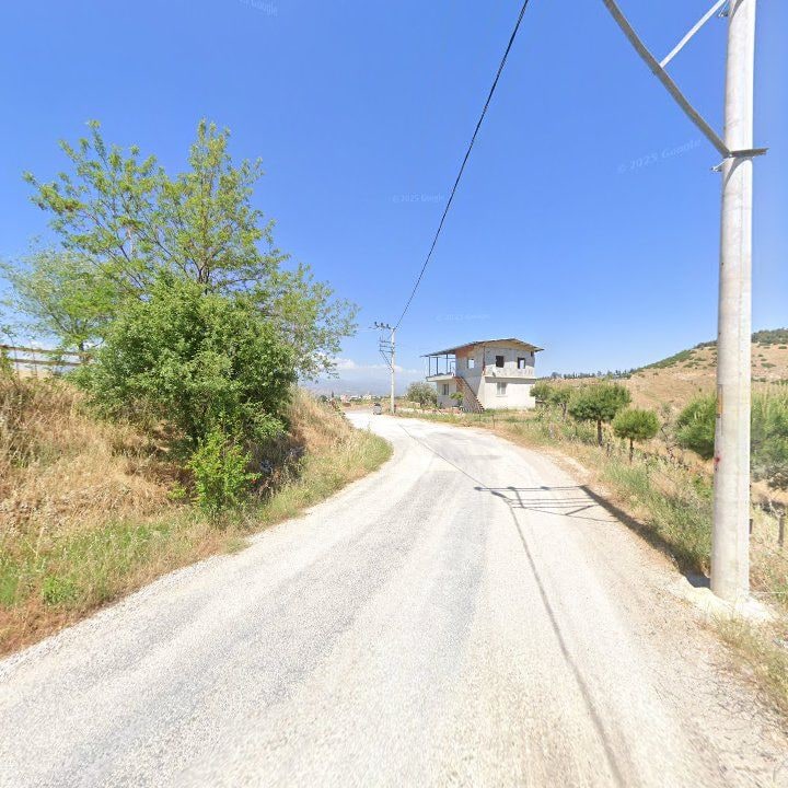 Fotoğraf 9