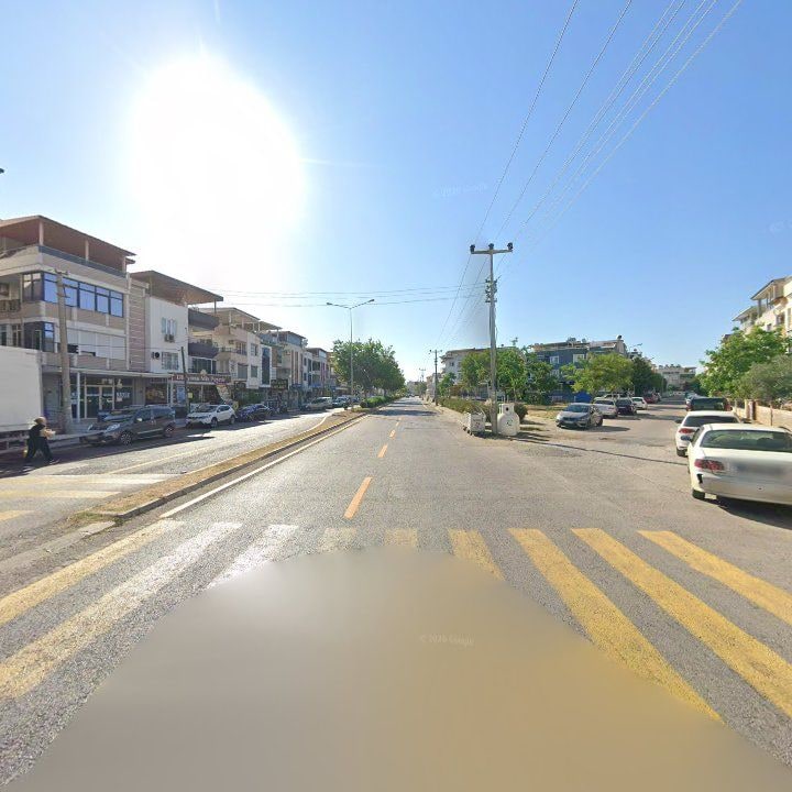 Fotoğraf 12