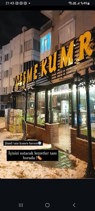 Çeşme Kumrucusu