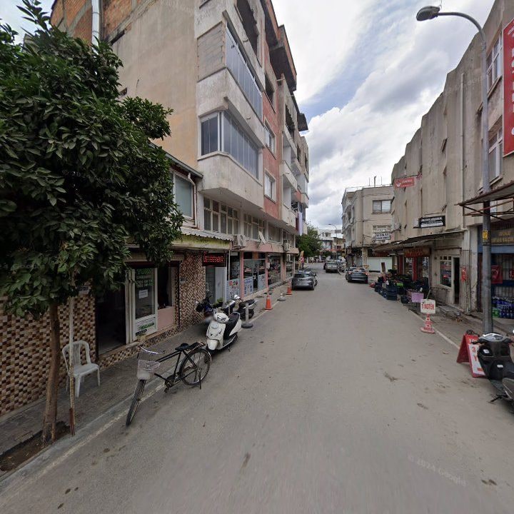 Fotoğraf 6