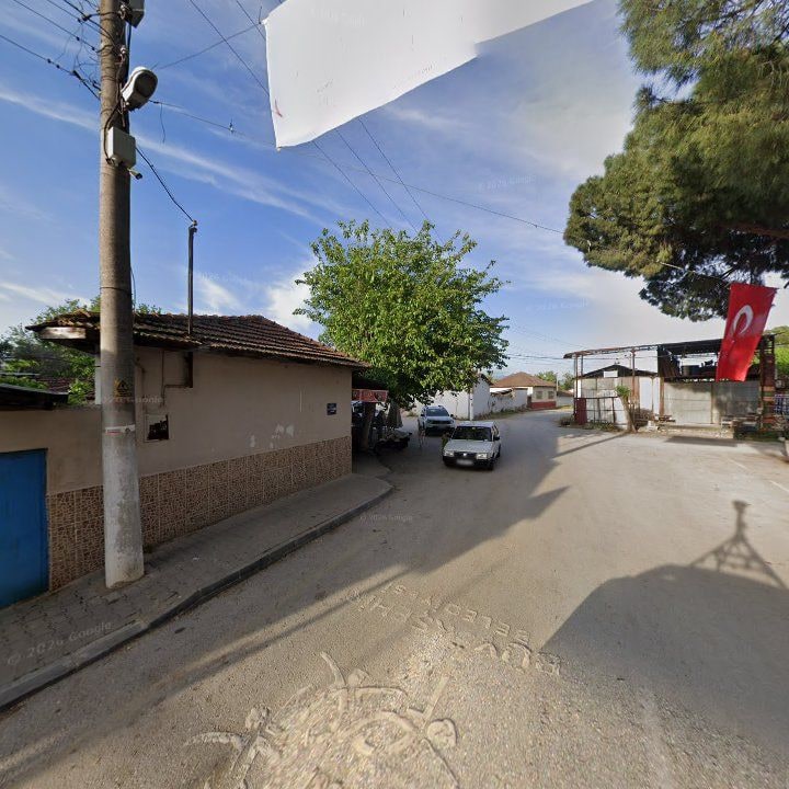 Fotoğraf 7