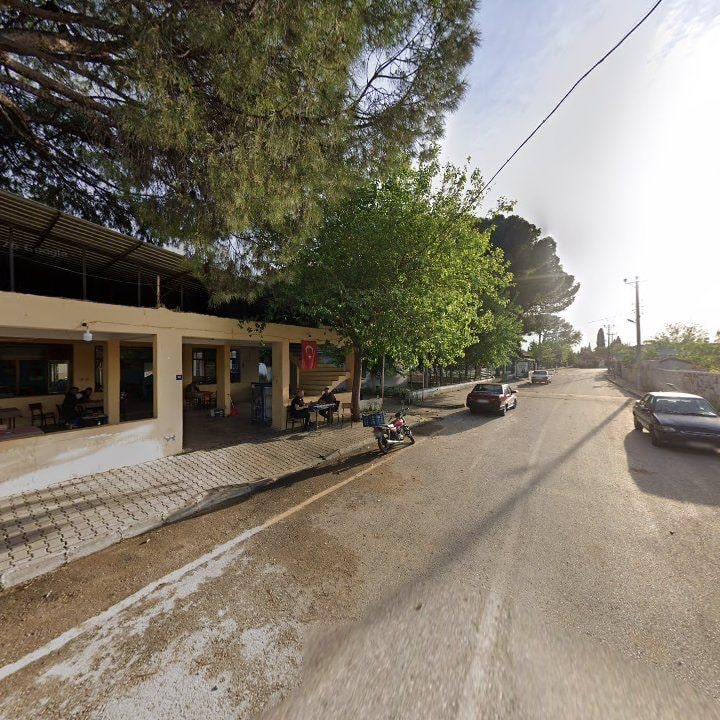 Fotoğraf 9