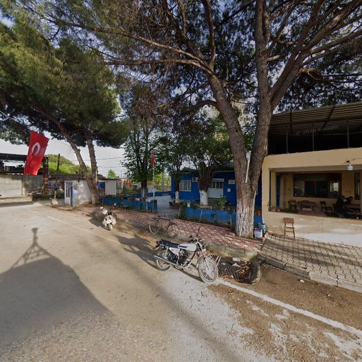 Fotoğraf 8
