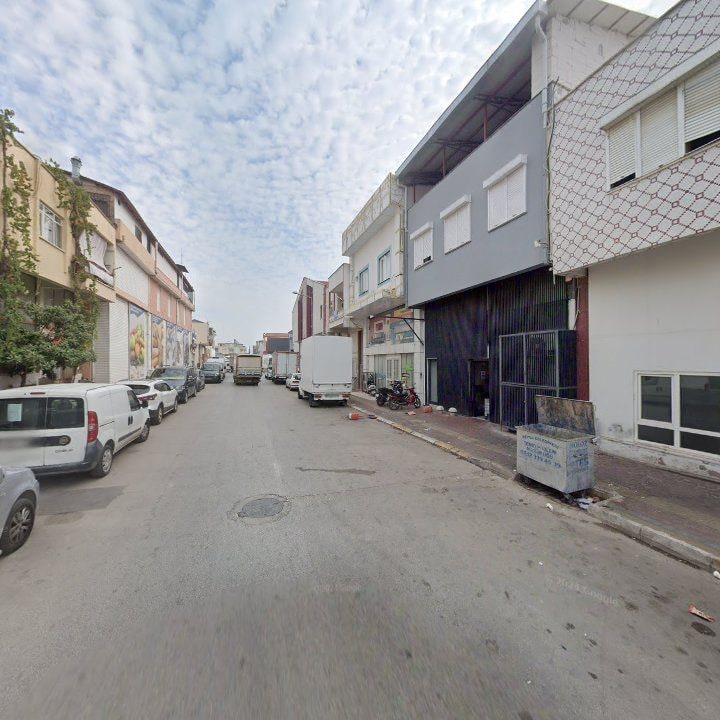 Fotoğraf 7