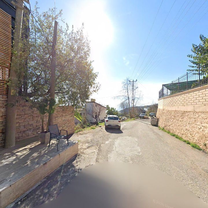 Fotoğraf 10