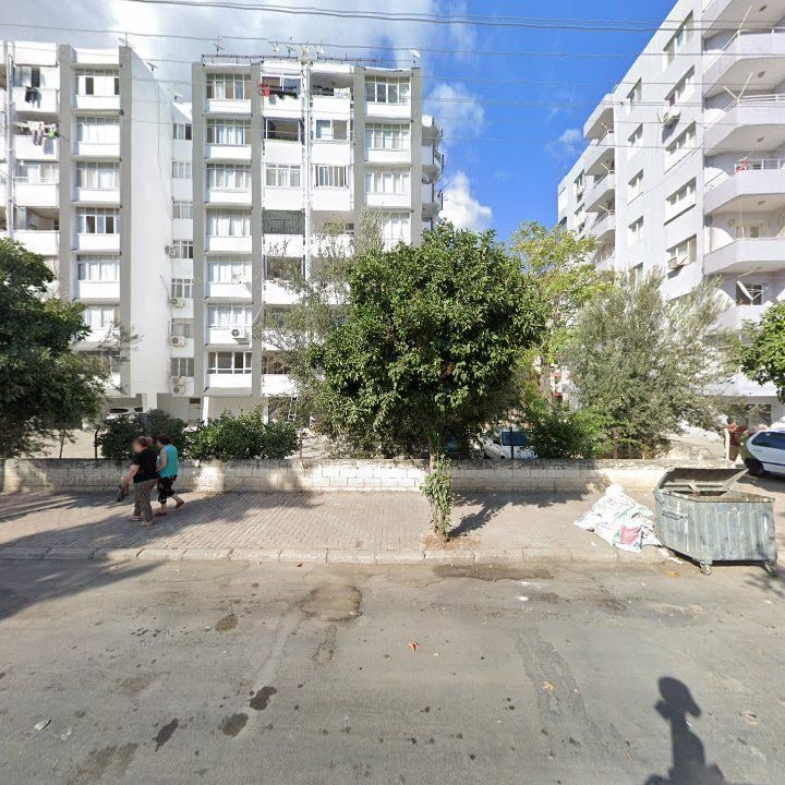 Fotoğraf 7