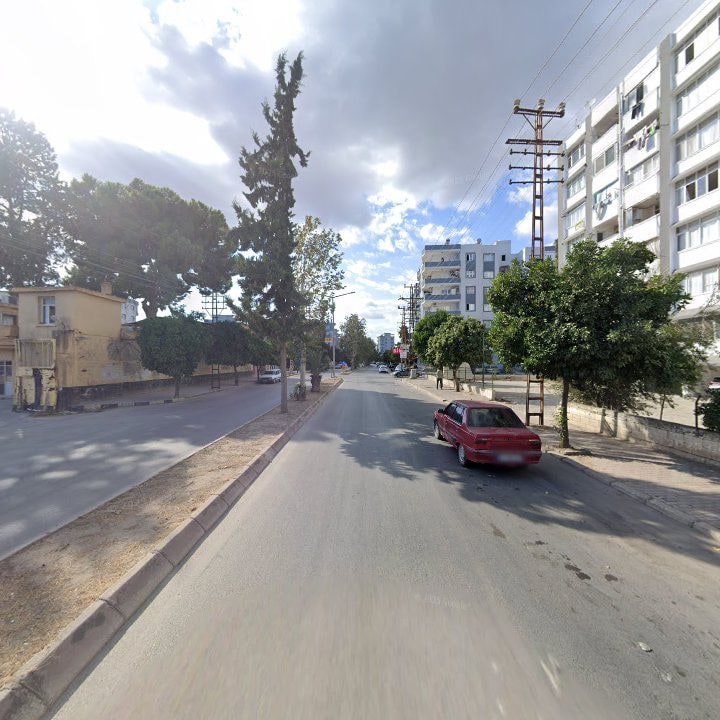 Fotoğraf 6