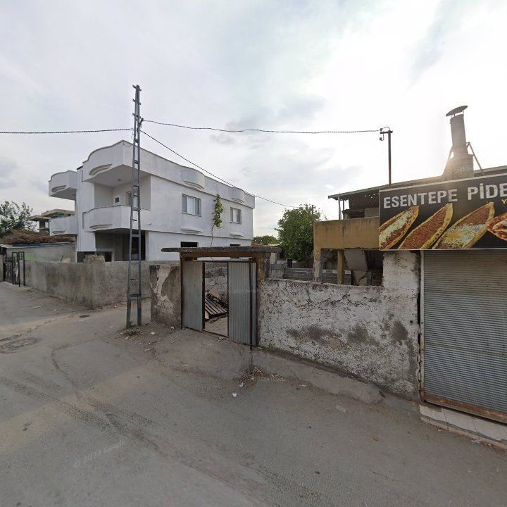 Fotoğraf 8