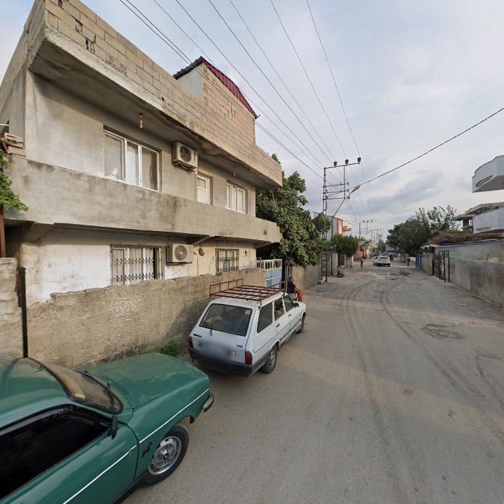 Fotoğraf 7