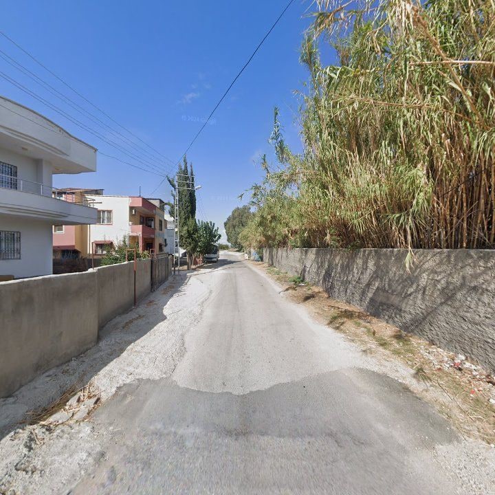 Fotoğraf 7