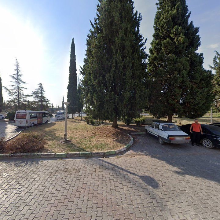 Fotoğraf 8