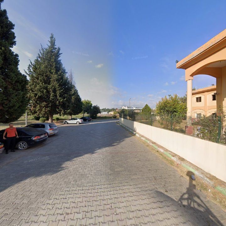 Fotoğraf 9