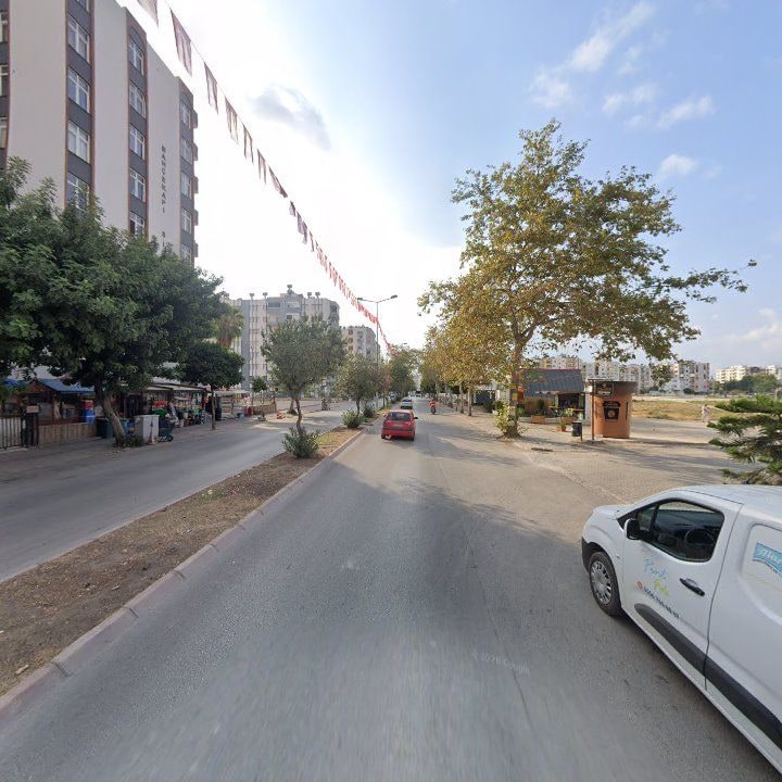 Fotoğraf 5