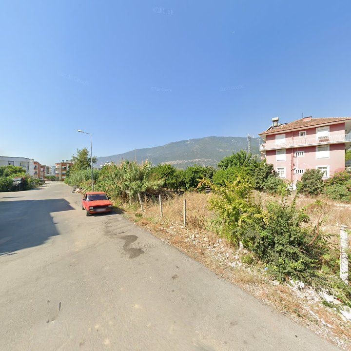 Fotoğraf 6