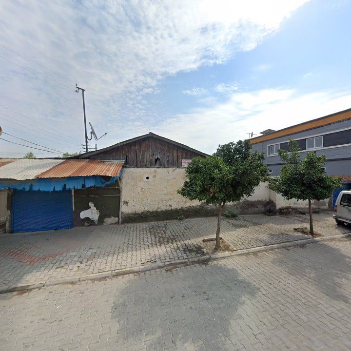 Fotoğraf 7