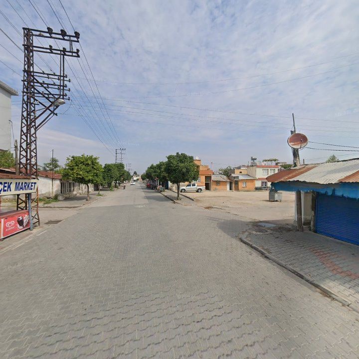 Fotoğraf 6
