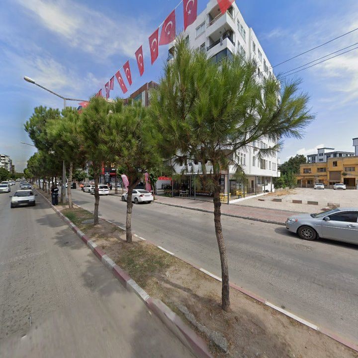 Fotoğraf 10