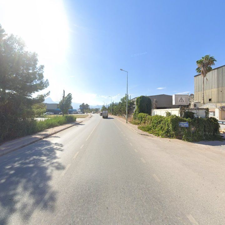 Fotoğraf 10