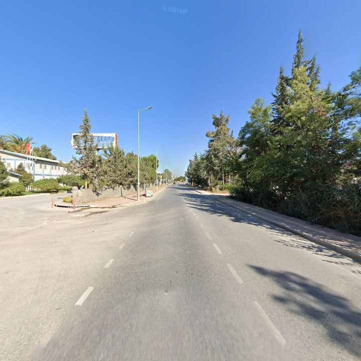 Fotoğraf 12