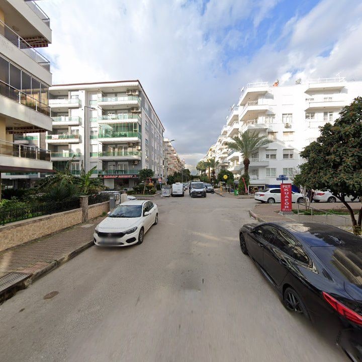 Fotoğraf 12