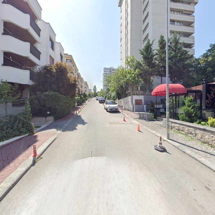 Fotoğraf 12