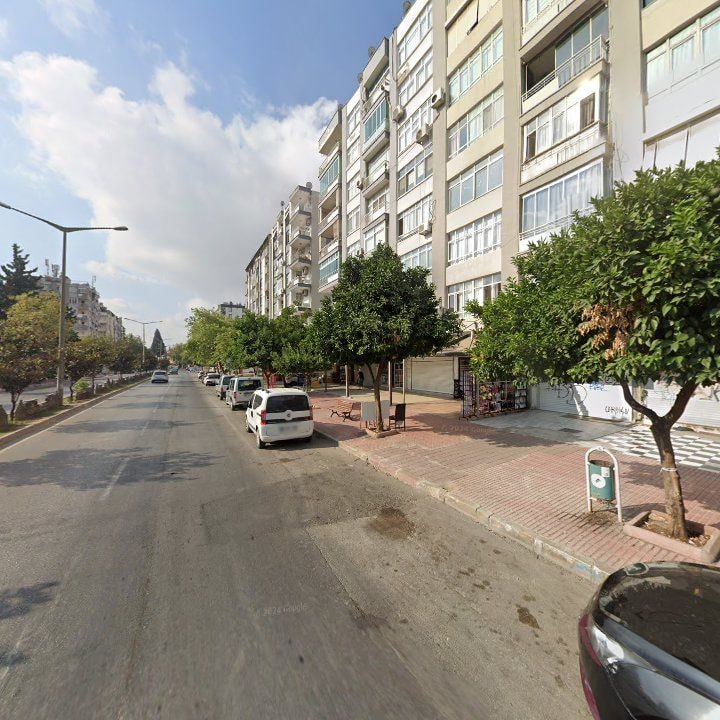Fotoğraf 8