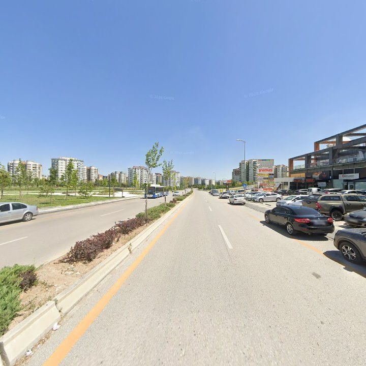 Fotoğraf 10