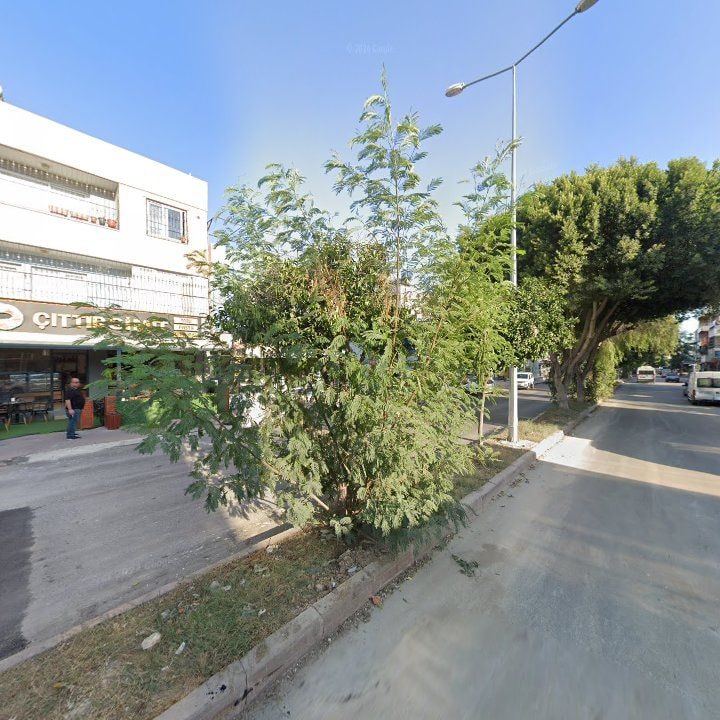 Fotoğraf 11